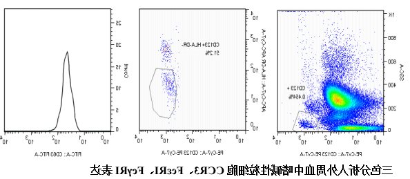 过敏反应致敏状态检测试剂盒（IgE、IgG）